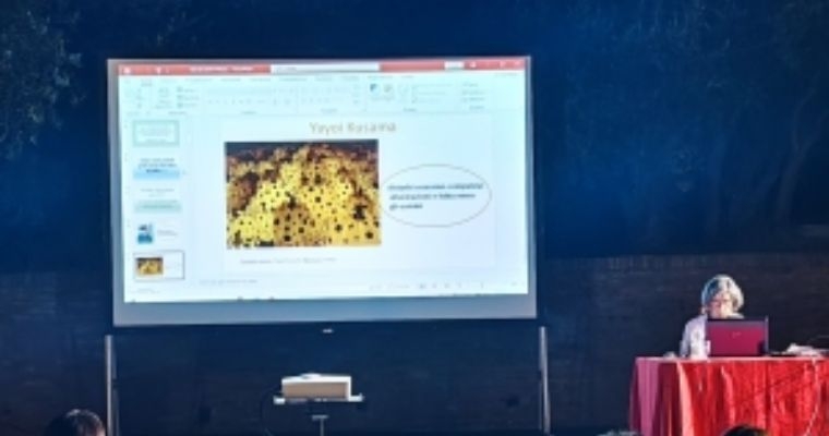 Arena alle Mura – Aspettando l’Eclissi